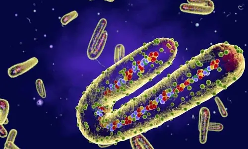 ఈ కొత్త వైరస్ సోకితే 8 రోజుల్లోనే మరణిస్తారా?