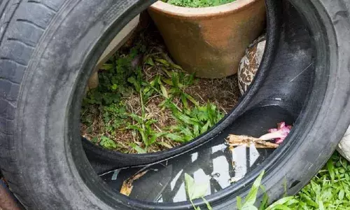 దోమల నివారణ కోసం జీహెచ్ఎంసీ 10:10:10 క్లీనెస్ డ్రైవ్