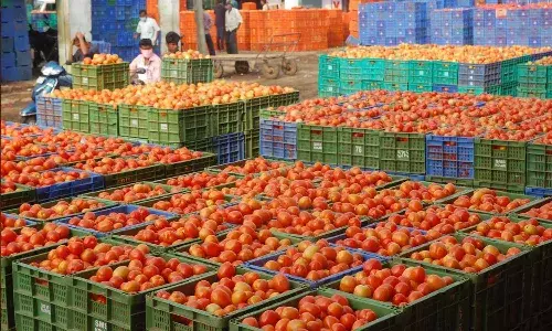 భారీగా తగ్గిన టమాటా ధర.. కిలో ఎంతంటే?