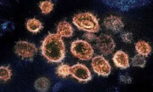 చైనాలో మరో డేంజర్ వైరస్.. అప్రమత్తంగా ఉండాల్సిందే.!