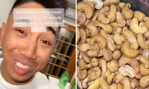 ప్యాకెట్ ఓపెన్ చేసి.. చూడ‌కుండానే చీమ‌లు పట్టిన జీడిప‌ప్పును తిన్నారు.. వీడియో వైర‌ల్‌