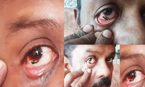 కంటిలో జాతీయ జెండా పెయింటింగ్.. దేశభక్తిని వినూత్నంగా చాటుకున్న సూక్ష్మ కళాకారుడు