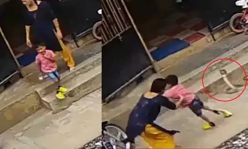 రెప్పపాటులో.. కాలనాగు కాటు నుంచి కొడుకును కాపాడుకుంది..!