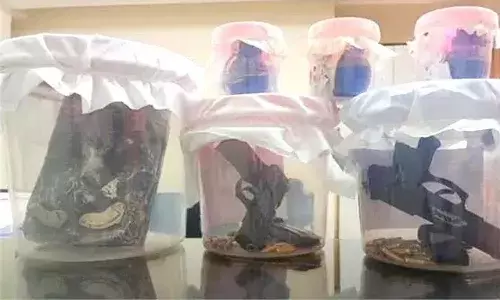 స్వాతంత్య్ర దినోత్సవ వేళ.. పంజాబ్‌లో ఉగ్రకుట్ర భగ్నం