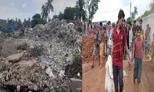 చెత్తకుప్పలో 17 పిండాలు