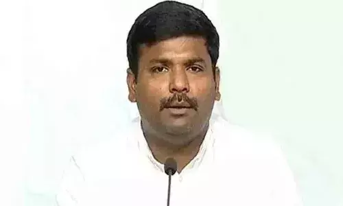 కాపు జనసేన కాదు.. కమ్మ జనసేన : మంత్రి అమర్నాథ్