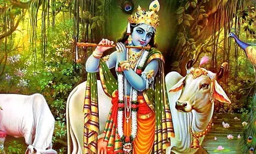 శ్రీకృష్ణుడి గురించిన ఆసక్తికర విషయాలు ఇవే.!