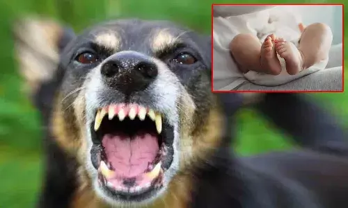 ప్రభుత్వాస్పత్రిలో దారుణం.. శిశువును పీక్కతిన్న కుక్కలు