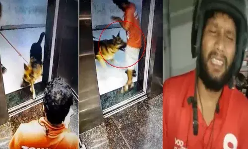 డెలివరీ బాయ్ని కరిచిన కుక్క.. పాపం ఎక్కడ గాయపరిచిందంటే..!