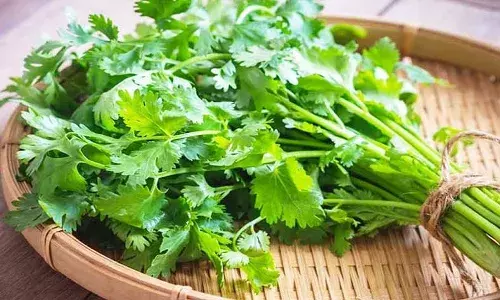 కొండెక్కిన కొత్తిమీర.. భారీగా పెరిగిన ధర