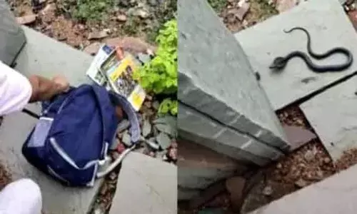 స్కూల్​ బ్యాగ్​లో నాగుపాము కలకలం.. వీడియో వైర‌ల్‌