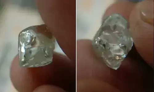 అదృష్టం అంటే వీళ్లదే.. రాత్రికి రాత్రే లక్షాధికారులయ్యారు