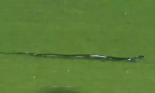 మ్యాచ్ జరుగుతుండగా స్డేడియంలో ప్రత్యక్షమైన పాము..!