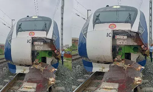 గేదెల మందను ఢీకొన్న వందేభారత్ ఎక్సప్రెస్