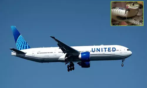 విమానంలో అనుకోని అతిధి.. గగ్గోలు పెట్టిన ప్రయాణీకులు