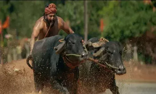కాంతారా మూవీ.. క్లైమాక్స్ సమయంలో ఛాతీ నొప్పి