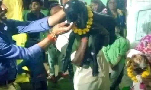 వైరల్: మేక పిల్లల బర్త్ డే వేడుకలు.. డీజే పాటలు పెట్టి మరీ..