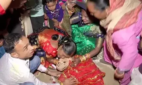 పెంపుడు కుక్కలకు సంప్రదాయ పద్ధతిలో పెళ్లి.. వీడియో వైరల్