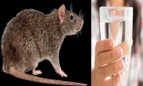 బిందెలోని నీటిని తాగి బాలుడు మృతి.. ఎలుక ఎంత ప‌ని చేసింది