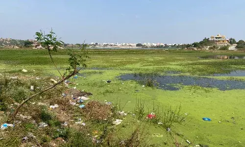 చెత్తకుప్పలా మారిన హైదరాబాద్ అంబర్ చెరువు