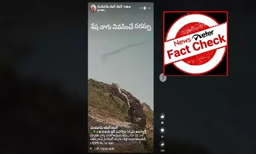 FactCheck : శేష్ నాగ్ సరస్సు మధ్యలో మహాసర్పం కదులుతూ కనిపించిందా?