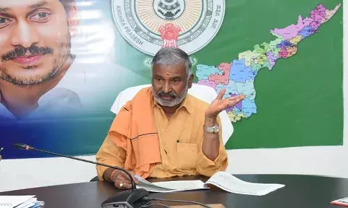 ప్రజలను ఆకర్షించే జంతువులను తీసుకువస్తాం : మంత్రి పెద్దిరెడ్డి