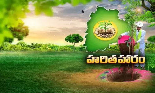 తెలంగాణకు హరితహారం.. లక్ష్యాన్ని అధిగమించింది