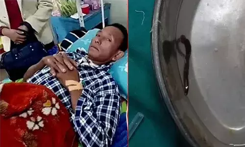 15 రోజుల పాటు గొంతులో ఇరుక్కుపోయిన జలగ.. ఆపరేషన్ తర్వాత సజీవంగా బయటకి..