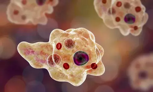 మనిషి మెదడును తినే వ్యాధి సోకి.. ఆ దేశంలో తొలి మరణం నమోదు