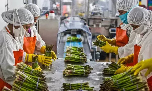 ఫుడ్ ప్రాసెసింగ్ యూనిట్లకు.. తెలంగాణ సర్కార్ అధిక ప్రాధాన్యత