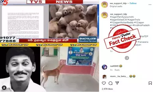 FactCheck: ఏపీలో కుక్కలు, పందులకు లైసెన్స్ ఉండాలనే నిబంధన కొత్తది కాదు