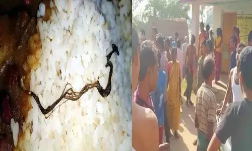 మధ్యాహ్న భోజనంలో పాము.. 30 మంది చిన్నారులకు తీవ్ర అస్వస్థత