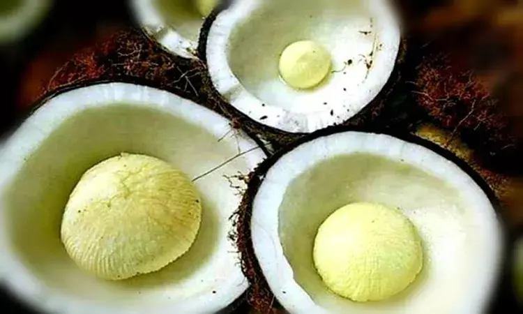 కొబ్బ‌రి పువ్వుతో ఇన్ని ప్ర‌యోజ‌నాలు ఉన్నాయా..?  తెలుసుకుంటే మాత్రం వ‌దిలిపెట్ట‌రు