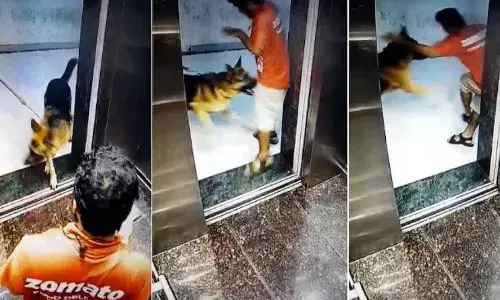 కుక్క దాడి నుంచి తప్పించుకునేందుకు .. మూడో అంతస్తు నుంచి దూకిన డెలివరీ బాయ్‌