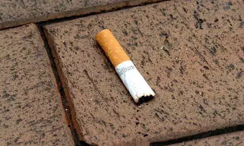 గోటితో పోయే దాన్ని గొడ్డలిదాకా తెచ్చుకోవడం అంటే ఇదే.. సిగరెట్ పీక.. రూ.55వేల జరిమానా