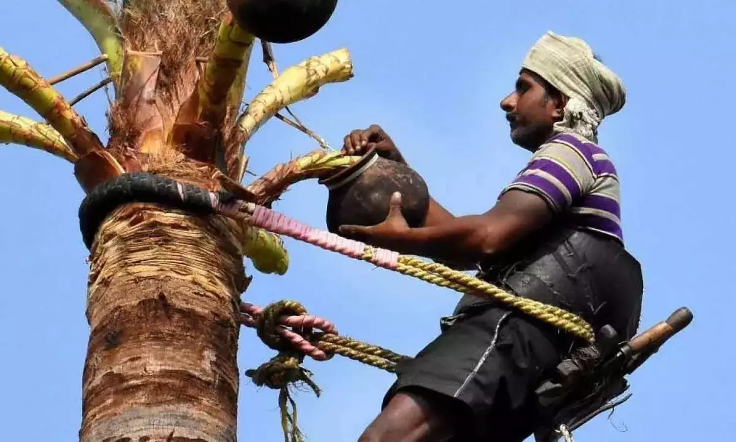 కల్లుగీత కార్మికుల కోసం.. ఏపీ సర్కార్‌ సంచలన నిర్ణయం.. ఒక్కొక్కరికి రూ.10 లక్షలు