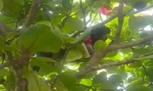 విద్యుత్‌ తీగలు త‌గిలి చెట్టు మీదే ప్రాణాలు విడిచిన‌ చిన్నారి