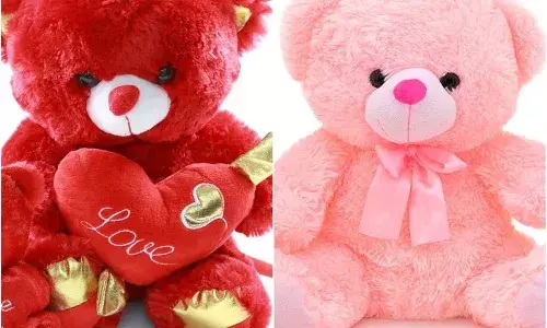 నేడు టెడ్డీ డే.. మీ ప్రేమకు గుర్తుగా టెడ్డీ గిఫ్ట్ ఇవ్వొచ్చు