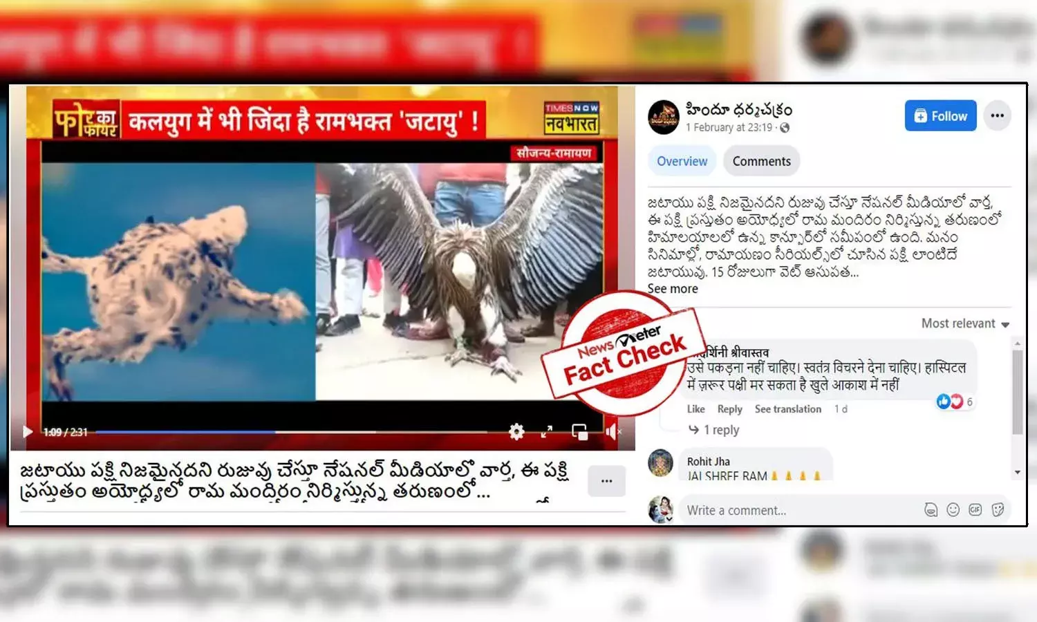Fact Check: అంతరించడానికి సిద్ధంగా ఉన్న ఈ రాబందు గతంలోనూ మనదగ్గర కనిపించింది