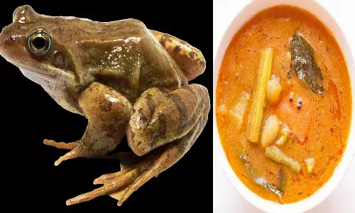 కప్ప పై కోపం.. చంపి సాంబారు వండాడు.. తిని కూతురు మృతి