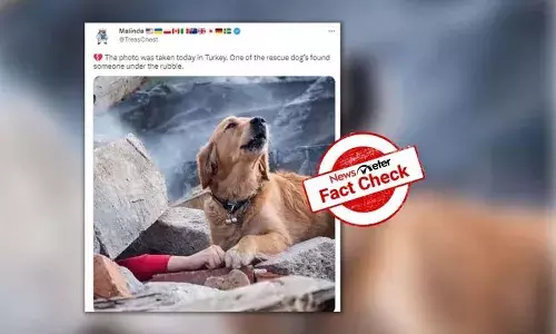 FactCheck : వైరల్ అవుతున్న కుక్క ఫోటో టర్కీకి సంబంధించినది కాదా..?