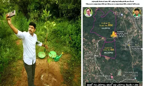 సీఎం కేసీఆర్ పుట్టిన రోజు..  కొడిమ్యాల అటవీ ప్రాంతాన్ని దత్తత తీసుకున్న ఎంపీ సంతోష్ కుమార్