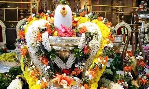 ఈ రోజు మహాశివరాత్రి.. ఇవాళ ఈ పని చేయడం మర్చిపోకండి