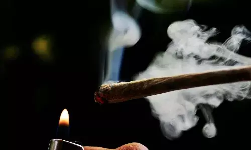 రైలులో దర్జాగా గంజాయి లాగించిన అమ్మాయిలు.. వీడియో నేషనల్ లెవల్ లో వైరల్