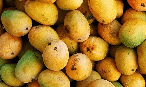 Hyderabad,Karnataka Mangoes,mangoes