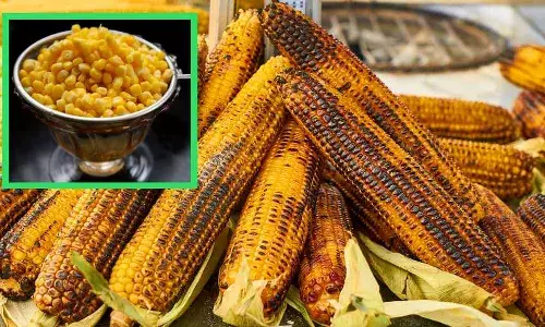 మూడేళ్ల చిన్నారి ప్రాణం తీసిన మొక్కజొన్న గింజలు