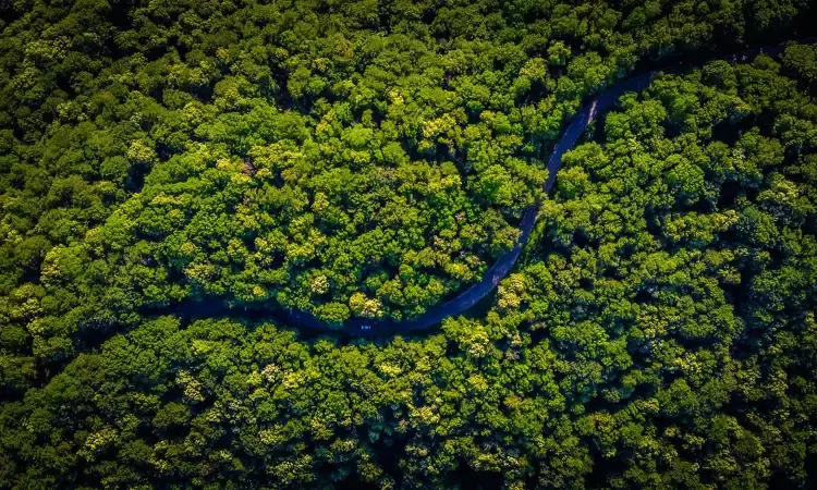 Amazon rainforest , Amazon forest facts