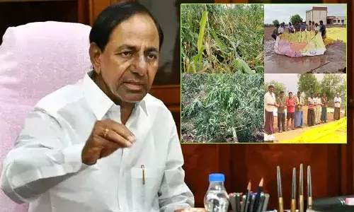 CM KCR Tour, Farmers,