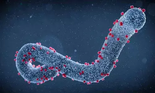 Burundi , new virus , Africa , WHO