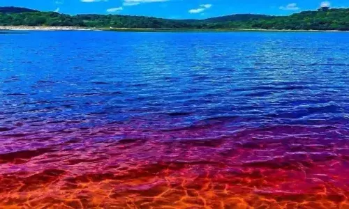 Summer vacation, Coca Cola Lake , Brazil , Tourist Hotspot